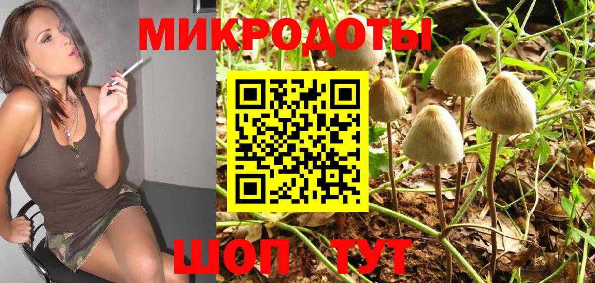 Псилоцибиновые грибы MAGIC MUSHROOMS  Вход с VPN  Нурлат  Псилоцибиновые грибы Psilocybe 