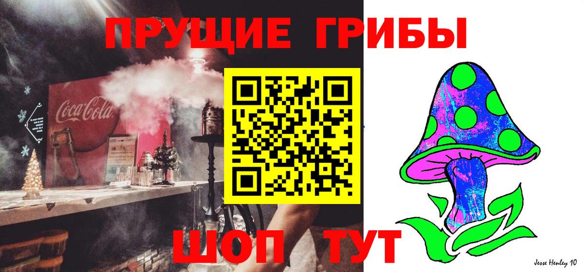 Галлюциногенные грибы Cubensis Нурлат
